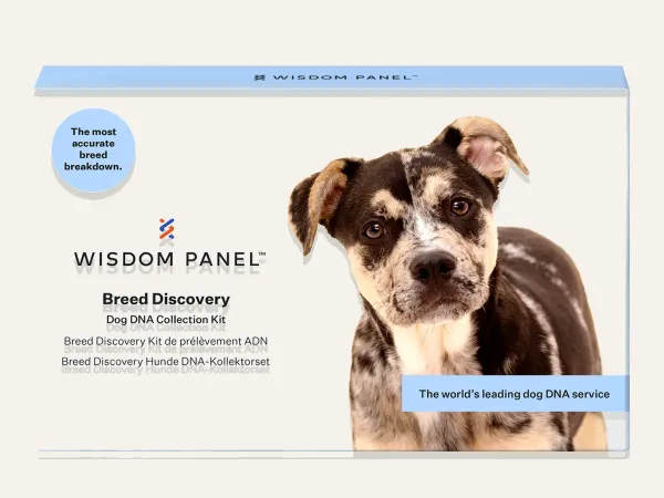 Image: Wisdom Panel (Mars Petcare / Kinship) Wisdom Panel™ Breed Discovery
